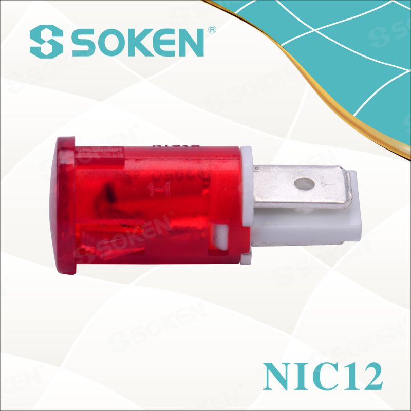 Neon Indicator Light with 110V, 125V, 24V, 12V