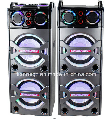 2X10inch Big Power 2.0 Professional Speaker with Bluetooth LED Light E246