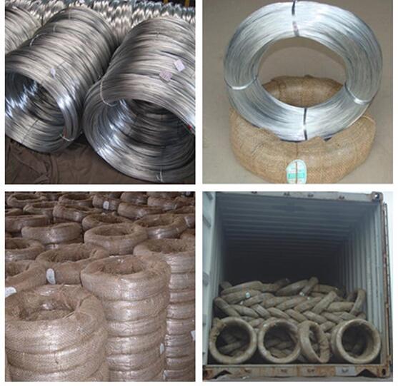 High Quality Galvanized and Black Iron Binding Wire