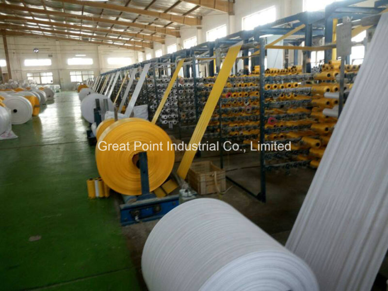 Plastic Woven Geotextile for Dam