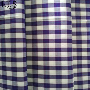 100% Cotton Poplin Woven Yarn Dyed Fabric for Shirts/Dress Rls50-2po