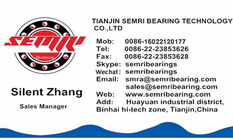 NSK High Precision Angular Contact Ball Bearing (B7228AACM)