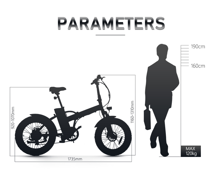 250-500w EU EN15194 fat tire electric bike