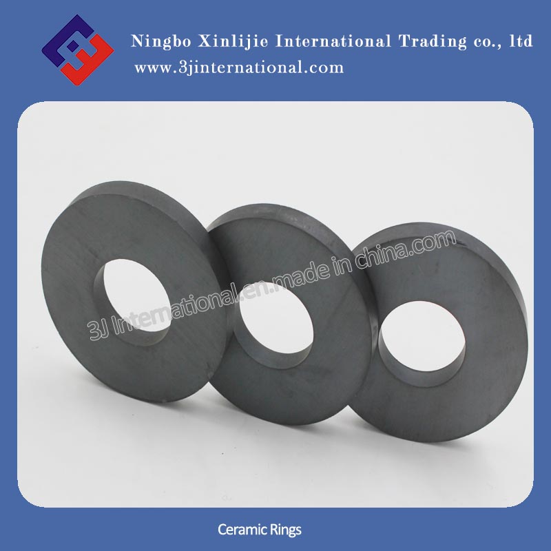 Ferrite Magnets/Ceramic Rings (XLJ-1110)