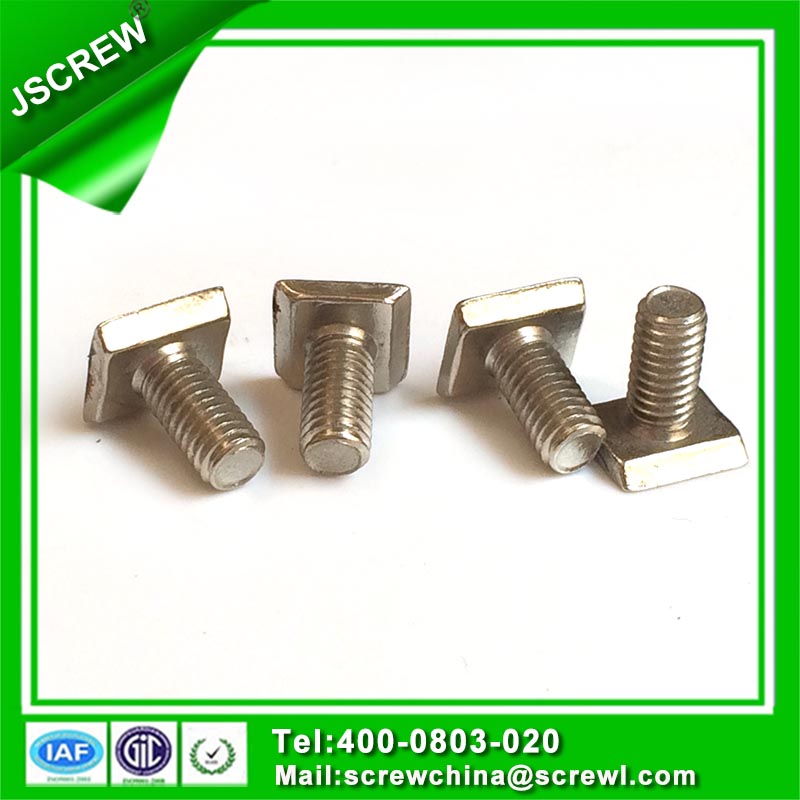 Square Head Stainless Steel T Bolt for Curtain