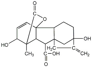 Plant Growth Regulator Hormone Gibberellin Ga3 90% Tc