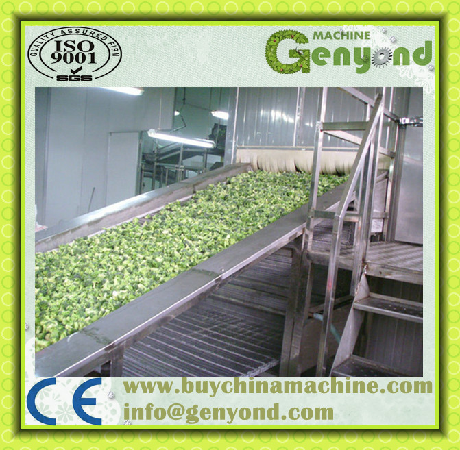 Vegetables Equipment / Quick Freezing Equipment