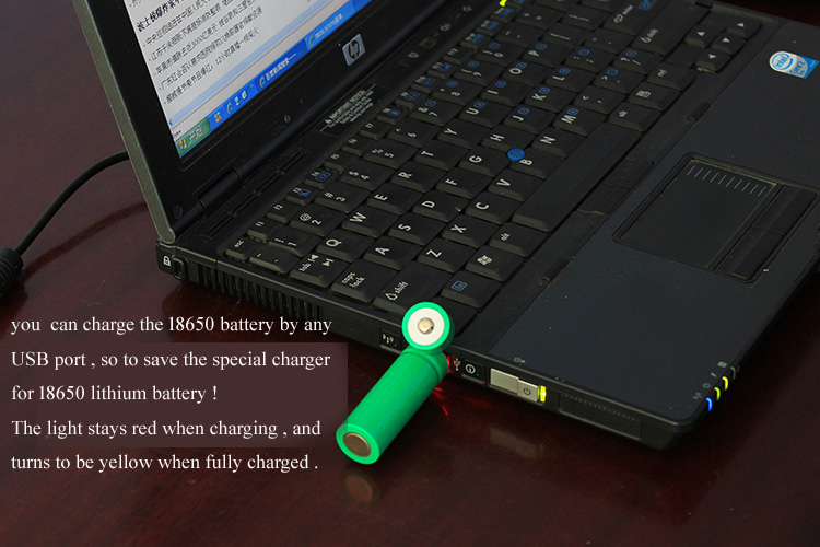 Rechargeable 18650 Battery with Built in USB Port