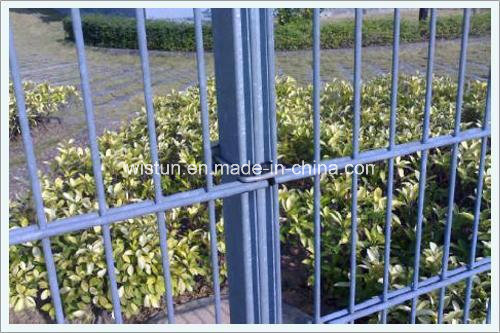 3D PVC Coated Fence, 358 Anti Climb Fence, Nylofor 2D Double Wire Fence, Fence Gate