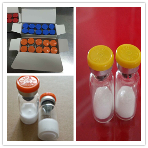 High Purity Peptide Pentadecapeptide Bpc 157 2mg/Vial for Body Development Bpc 157