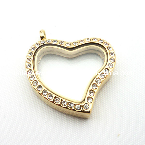 Stainless Steel Heart Floating Glass Jewellery Pendant