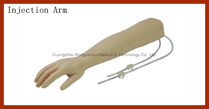 Advanced Elder Venipuncture Training Arm Model, Elder Injection Arm