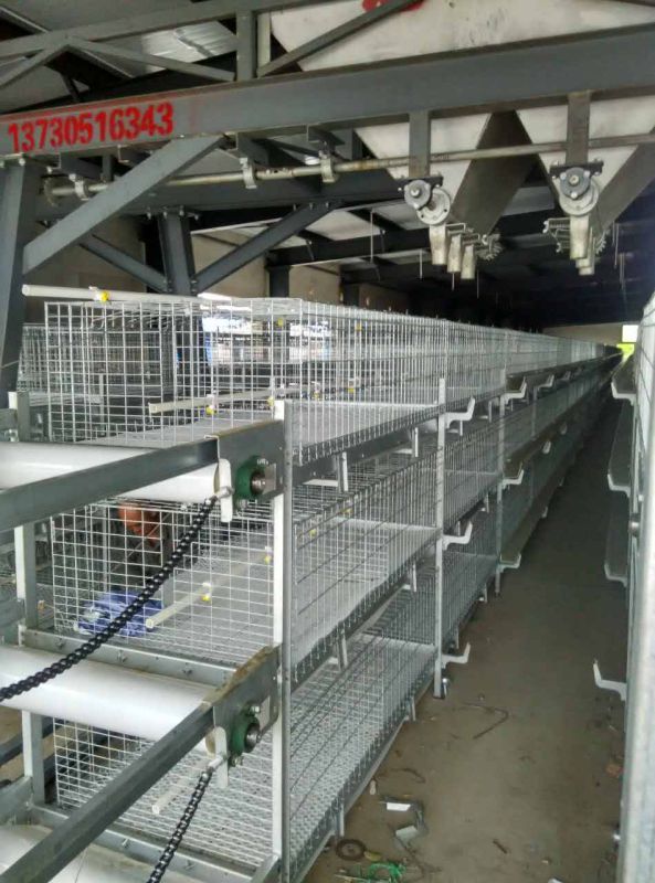 H Type Automatic Poultry Equipment Broiler Cage
