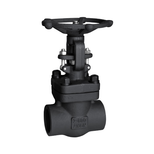 API Carbon Steel 800lb NPT/Sw Gate Valve