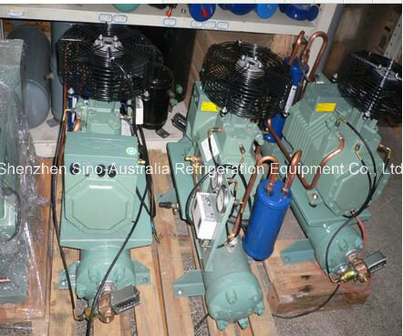 Bitzer Condensing Unit (water chiller)