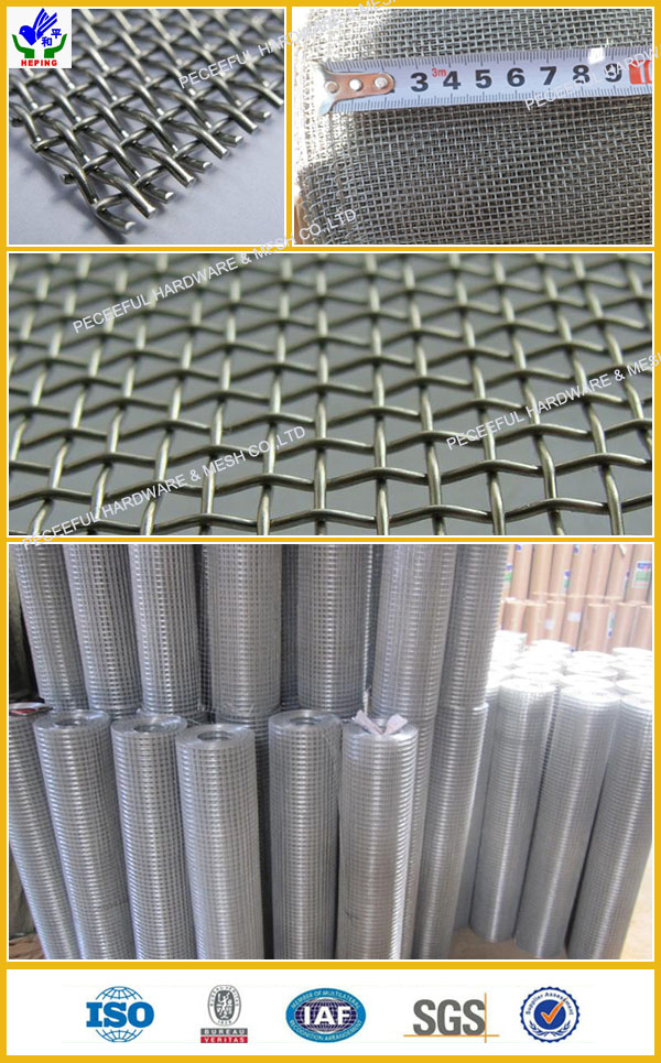 Stainless Steel Square Wire Mesh (HPZS-1023)