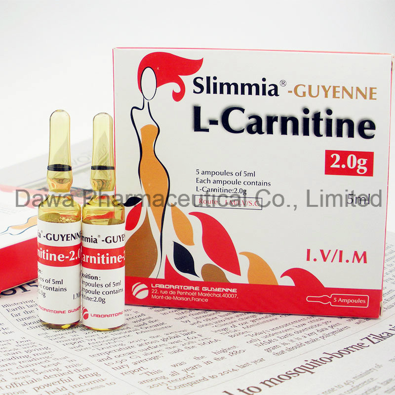Fat Burning Weight Loss 2.0g L-Carnitine Injection