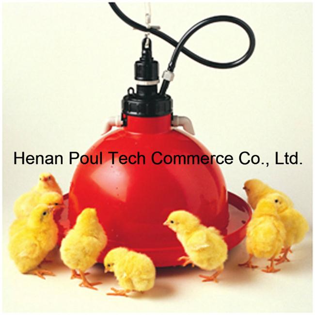 Plastic Feeder and Drinker for Poultry Farms