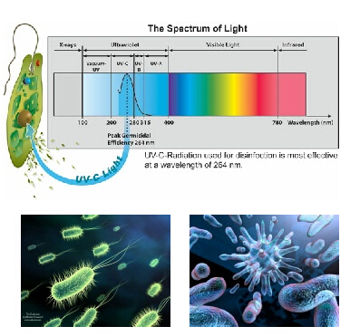 Ultraviolet Water, Liquid & Wastewater Purification and Disinfection Equipment