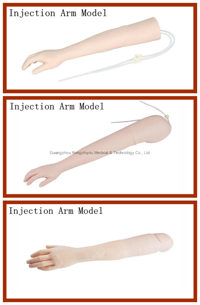 Mechanical Rotary Artery Arm Injection Training