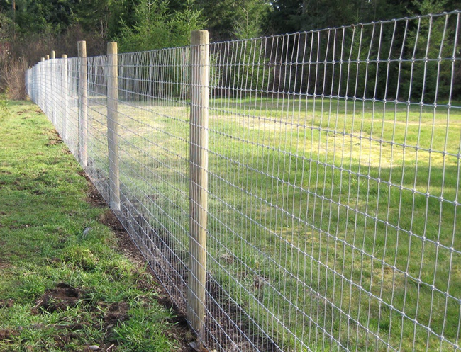 Knotted Wire Mesh Livestock and Farm Fence