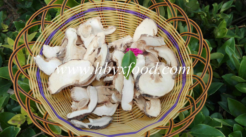 Sliced Dried Shiitake Mushroom with Different Sizes