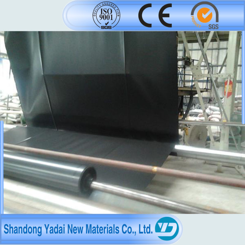 Fish Farm Pond Liner ASTM Standard 2mm/1.5mm HDPE Geomembrane Membrane