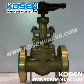 Forged Bronze Gate Valve (Z11T)