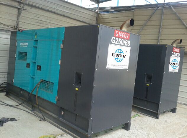 250kVA Rental Standard Diesel Generator Set