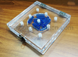 Acrylic Peg Test Model(pH6103A )