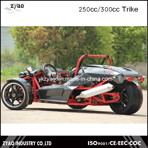250cc Motor Engine Ztr Trike Roadster Tricycle Vehicles