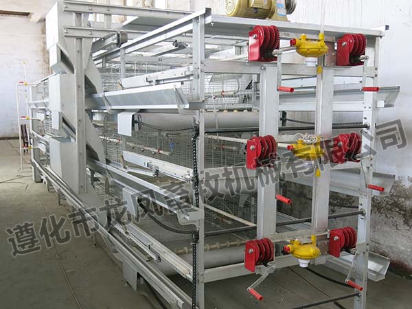 Full Automatic Pullet Cage