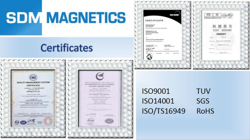 ISO/TS16949 Certificated Permanent Neodymium Magnet