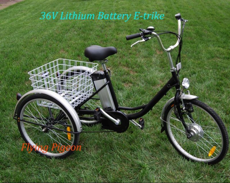 Strong Multi-Speed Elder Electric Cargo Trike (FP-ETR002)