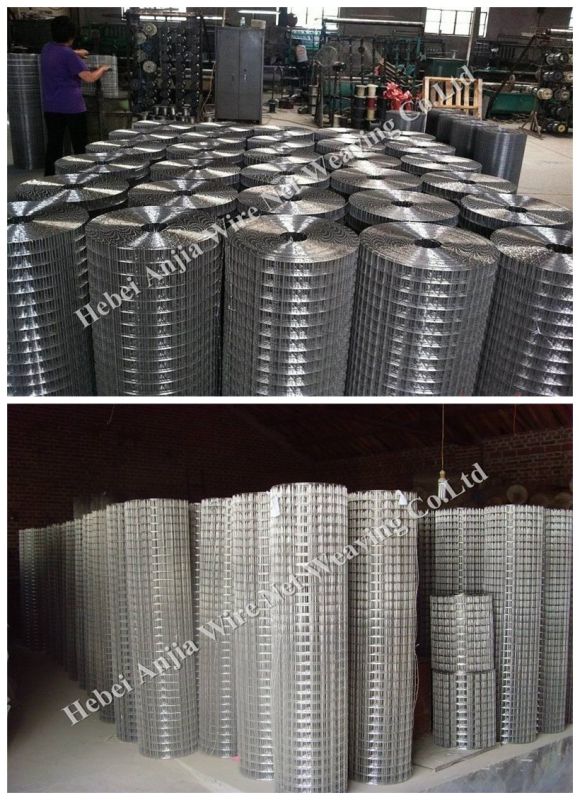 Hot DIP Galvanized Welded Wire Mesh for Construction with (CE and SGS)