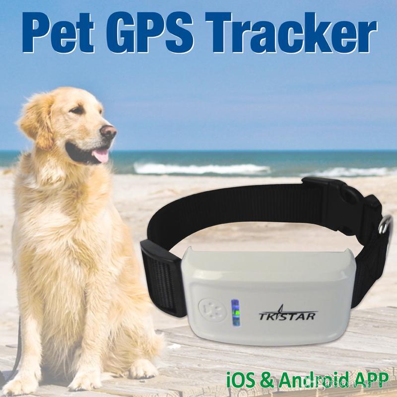 Mini Pet GPS Tracker for Children and Dog/Cat/Pets