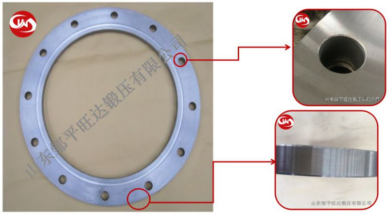 JIS Carbon Steel 1k Flanges for Exh. Gas Pip (F type)