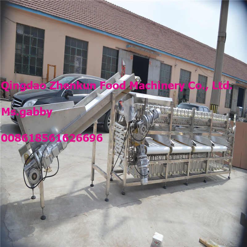 Automatic Fruit Potato Sorting Grading Machine