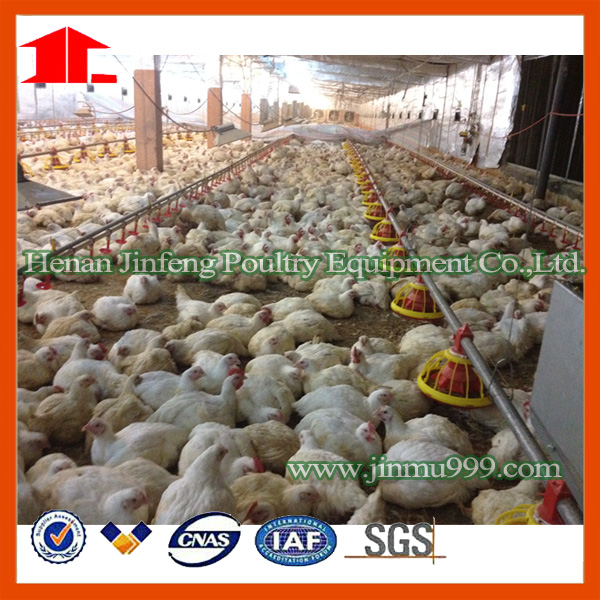 Poultry Farm Equipment of Chicken Cage for Broiler and Layer