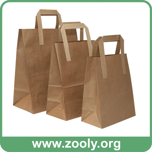 Eco-Friendly Natural Brown Kraft Paper Shopping Gift Bags with Twisted Paper Handles