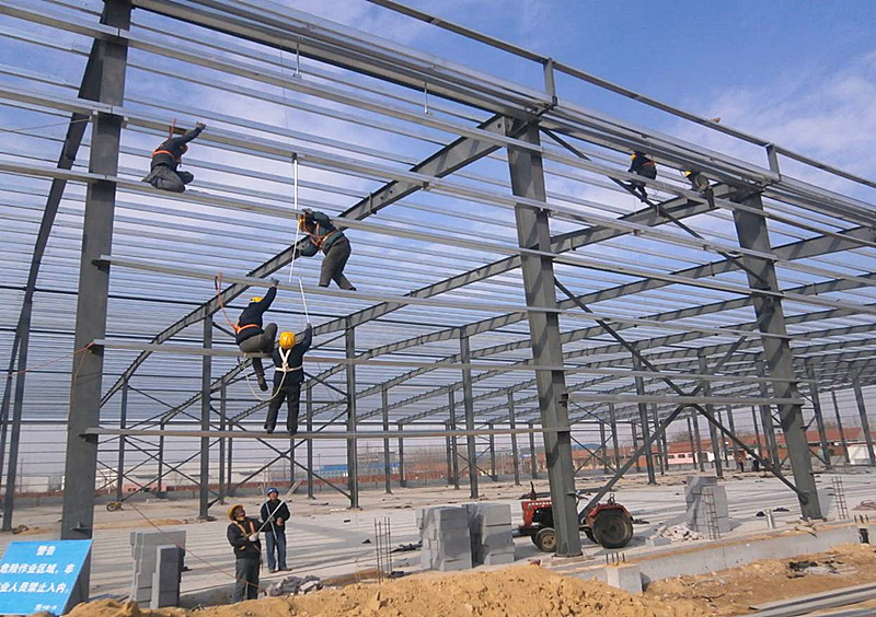 Prefab Steel Frame Assemble Warehouse/Workshop