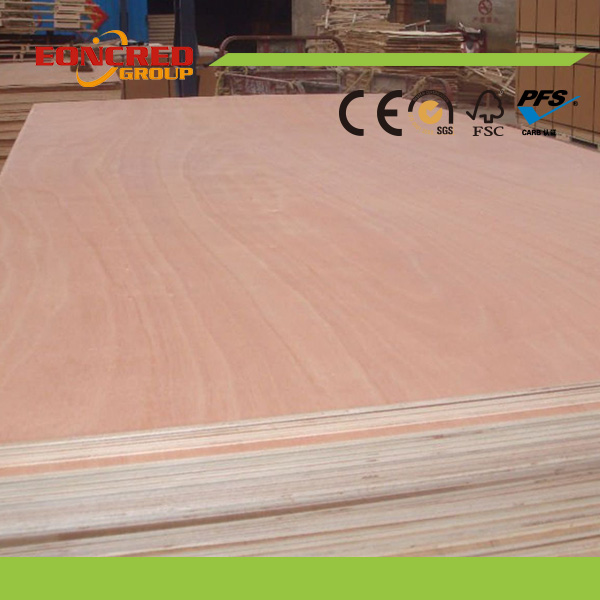 Two Times Press Poplar Eucalyptus Hardwood Core Plywood From Shandong