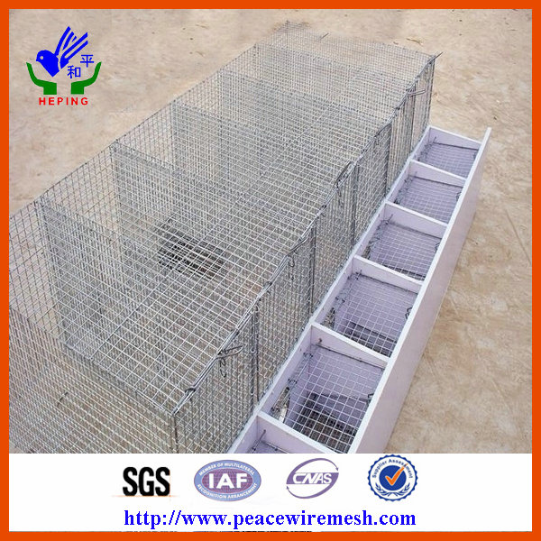 Galvanized or Stainless Steel Mink Cage (EMK-01)