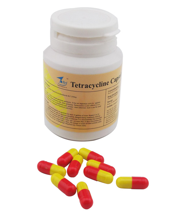 Veterinary Drugs of Tetracycline Capsule(250mg)