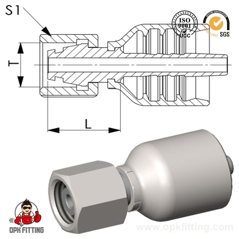 Metric Female Thread Forged Hydraulic Banjo Fittings (20511)