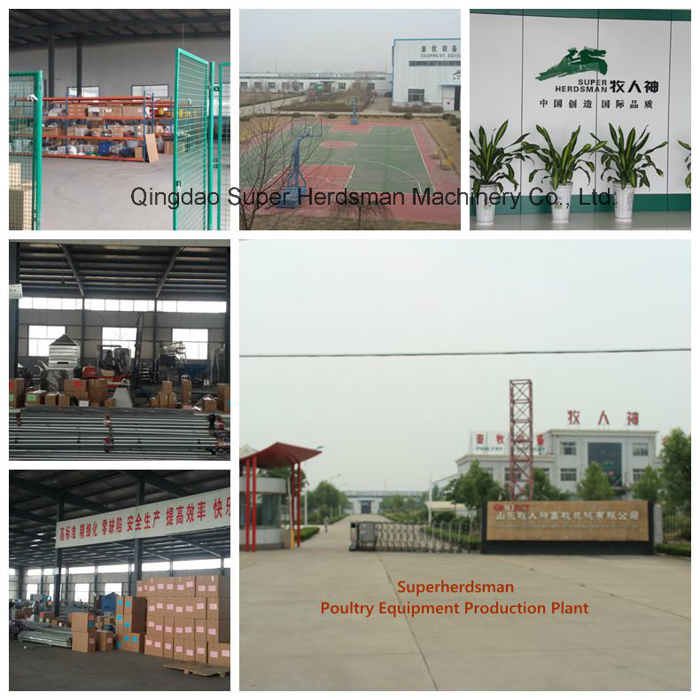 Full Set Poultry Shed Control Equipment for Broiler