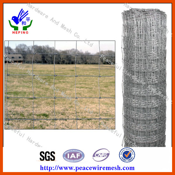 Professional Manufacture High Quality Cattle Fence (CLF08)