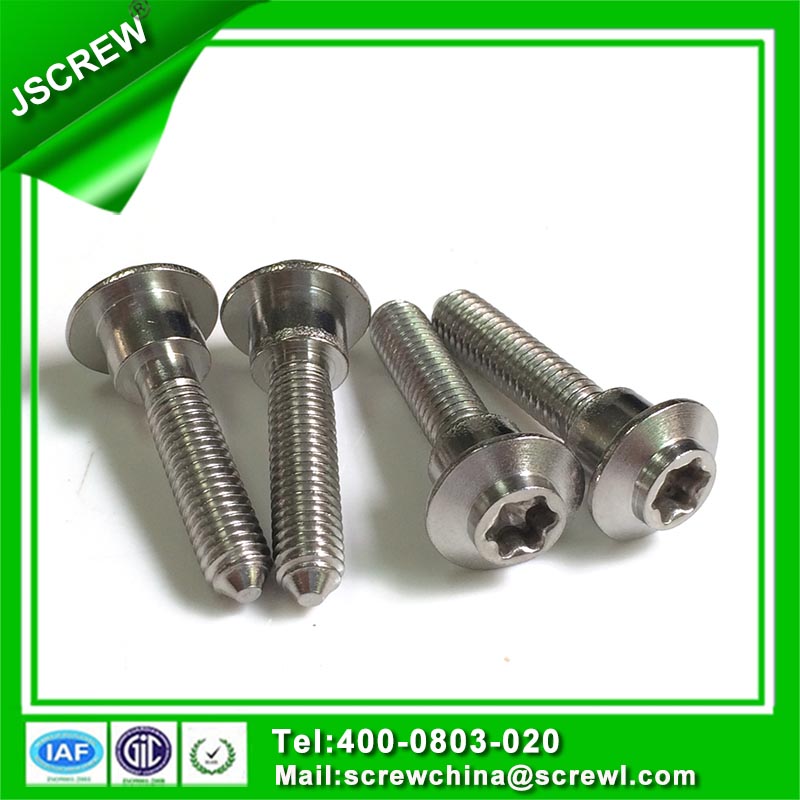 Button Head Stainless Steel Torx Special Screw