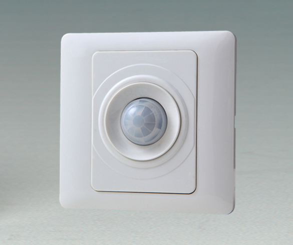 PIR Motion Sensor