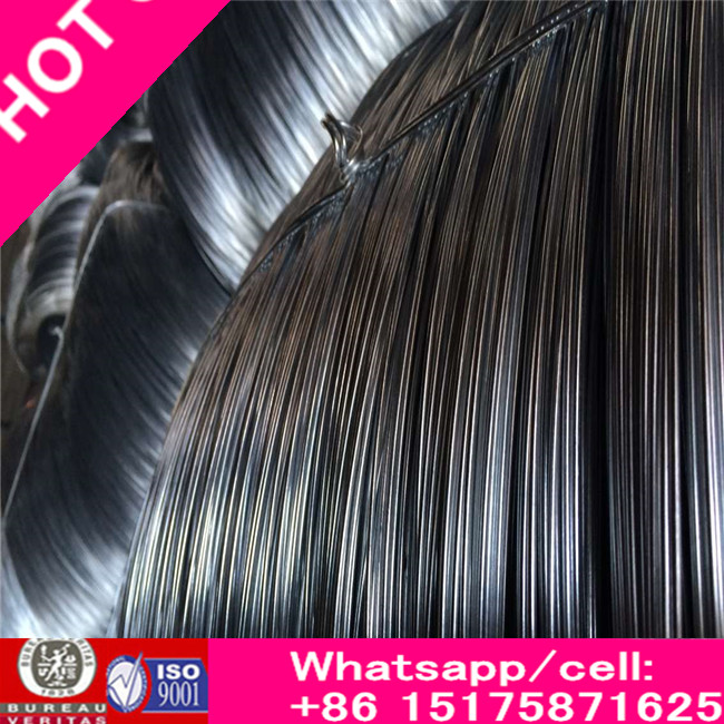 High Carbon Galvanized Steel Roping Wire with Zinc Coating